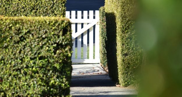 Garden gate and hedges kept tidy